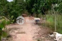 Bán ngộp lô đất 5 sào xã phú thanh tân phú