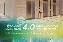 Giỏ hàng 20 căn độc quyền tòa ct1 từ 1pn đến 3pn