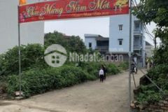 Tôi bán 69 6m đản mỗ uy nỗ