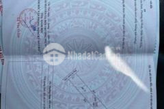 Nền gía rẻ khu hồng phát an bình ninh kiều ct