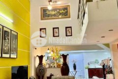 Biệt thự trục đường 20m