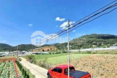 Lô 2 mặt tiền dt 2842m2 đường mimosa p 10 đl