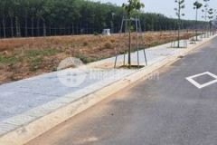 Đất sổ đỏ 101m2 full thổ tại tái định cư bình sơn