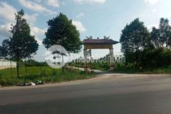 Bán 8 công đất lộ thanh niên thạnh hòa 260trc