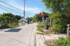 Bán 1774m đã chuyển 1000m thổ cư phù hợp phân lô