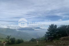 Cần tiền bán đất view săn mây, cạnh ruộng bậc thang y tý