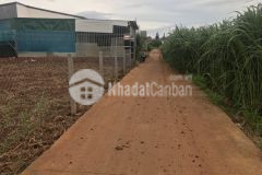 Bán 5x30 100m2 thổ cư ngay bồng lai, đạ ròn, đơn dương giá 850tr