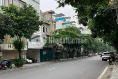 Mặt phố vương thừa vũ, 9 tầng thang máy, lô gócdt 110m2, 9 tầng, mt 7m, 42 tỷ