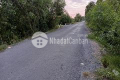 1công mặt tiền huyện lộ 40,thạnh mỹ,tân phước,tiền giang.