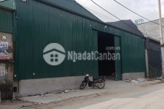 Cần mà không có, có mà không cần, 600m2 làng nghề bát trang.