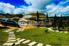 Ban đât tăng homestay siêu xinh xuân tho đa lat