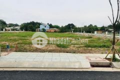 Tôi đậu xuất ngoại cần bán gấp ba lô đất 327m2 thổ cư xã tân an hội củ chi giá thương lượng