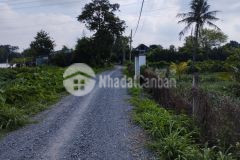 Siêu phẩm đầu tư đất hóc môn ngay cầu rạch tra sắp mở đường 40m giá 4.5tr1m2