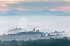 Bán lỗ lô đất lộc tân thu hồi vốn gấp