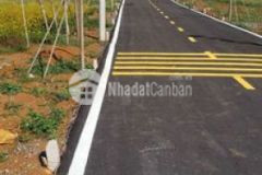 Gia đình khó khăn cần bán lô hoa hậu sát suối