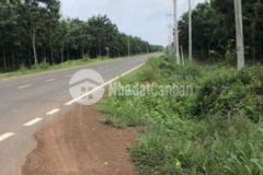 Đường số 3 minh lập 225m2 700tr