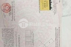 Đất nongng 100m2 số hông riêng