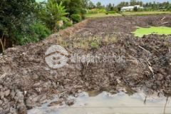 Dất nền 270m2 mt huyện lô 85 xã phú thạnh