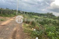 Bán đất vĩnh an sổ riêng đường oto