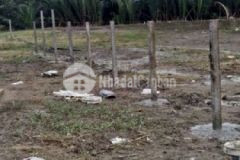 Bán 1221m2 đất mt đường song hành nhà bè