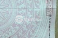 Cần tiền bán gấp lô đất trồng cây lâu năm