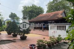 Bán vườn cây ăn trái 1000m2 2tỷ950 tt củ chi