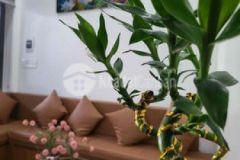 Bán nhà tttp huế nhà mới full nội thất an cựu