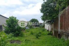 Đất thổ cư 5x20 mai bá hương lê minh xuân b chánh