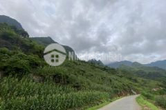 Đất nền hà giang đón sóng cao tốc tuyên quang