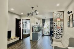 Bán căn hộ dic phoenix 2phòng ngủ 2wc hiếm nhà đẹp