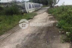 Một lô đất đẹp giá rẻnhất cây thông trong phú quốc