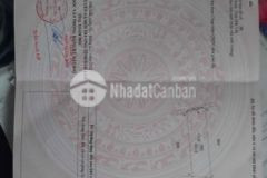 Tôi cần tiền cần bán gấp 500m2 giá 440tr