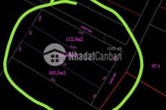 Đât vinh tương chi 500 triêulô