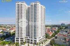 Tecco bình minh thanh hóa liệu đắt có xắt ra miếng