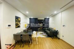 Bán gấp căn 74m2 chung cư terra an hưng 2pn2vs