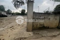 Đồng nanh tiên phương 478 5m 3 35 tỷ 7trm