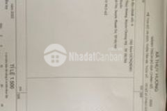 Thuỵ hương cm 49 5m 780tr