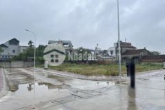 Lô góc đấu giá đại yên