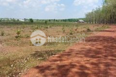 Đất sào giá rẻ sổ hồng sẵn tại lộc ninh bình phước