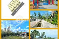 Đất đẹp phú vang cách tl10 chỉ 15m giá 3xx tr