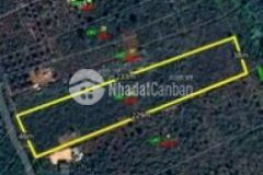 Rẫy đẹp 2 mt 46m mặt đường view cánh quạt gió