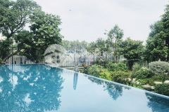 Bán biệt thự ven sông nguyễn văn hưởng, dt 800m2 đất thổ cư, 1 hầm 3 tầng