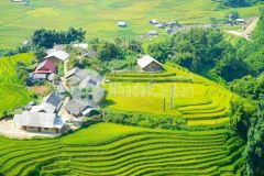 Đất nền trung tâm sapa làm homestay,biên độ lợi nhuận cực cao.