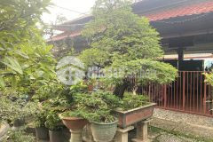 Quận 12. quá rẻ mặt tiền đường kinh doanh,dt1150m2 giá 42 tỷ, phường hiệp thành