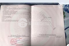 Bán đất mặt tiền vị trí đẹp siêu đầu tư tại ấp 3a tt bảy ngàn huyện châu thành a, hậu giang.