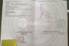 Bán đất đường bê tông an thới đông, cần giờ 20 x 81, giá 3,35 tỷ