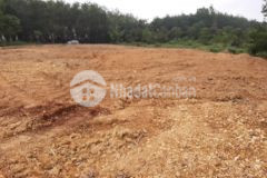 Bán đất dân đang ngộp giá rẻ 270tr 1000m2 đồng phú bình phước