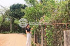 Cần bán mảnh đất diện 872m2 nguyễn chí thanh sapa, giá siêu yêu thương