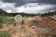 Chính chủ cần bán mảnh đất 240m2 giá 9xx triệu tại lâm đồng