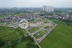 Bán đất đấu giá x1 đông hội mai lâm đông anh